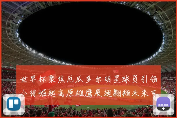 世界杯聚焦厄瓜多尔明星球员引领小将崛起高原雄鹰展翅翱翔未来可期
