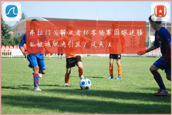 弗拉门戈解放者杯客场赛因球迷骚乱被迫取消引发广泛关注