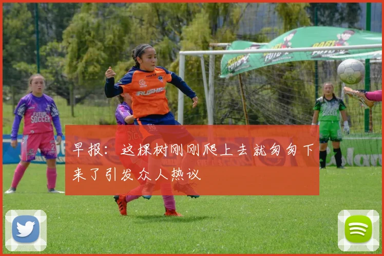 早报：这棵树刚刚爬上去就匆匆下来了引发众人热议